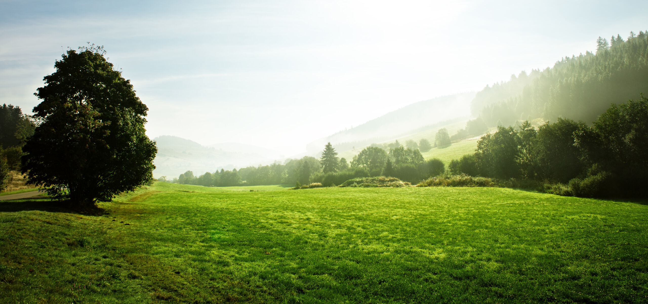 Wertstoffe<br>erhalten: <br>Recyceln statt Downcyceln