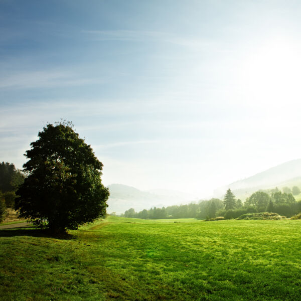 Wertstoffe<br>erhalten: <br>Recyceln statt Downcyceln